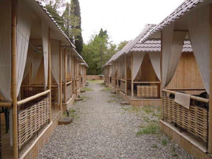 Ostrov Park-Hotel Pitsunda Dış mekan fotoğraf